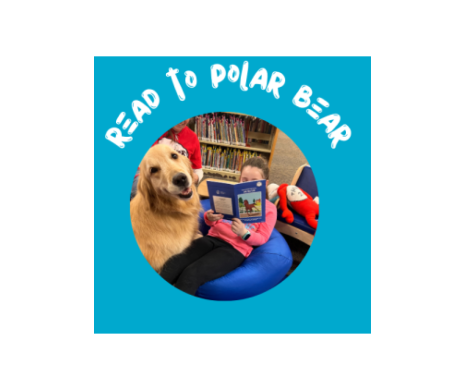 a teal background with the words "Read to Polar Bear" written in white.  In the center is a photo of Polar Bear, a licensed therapy dog, being read to by a young girl who is sitting on a blue bean bag chair