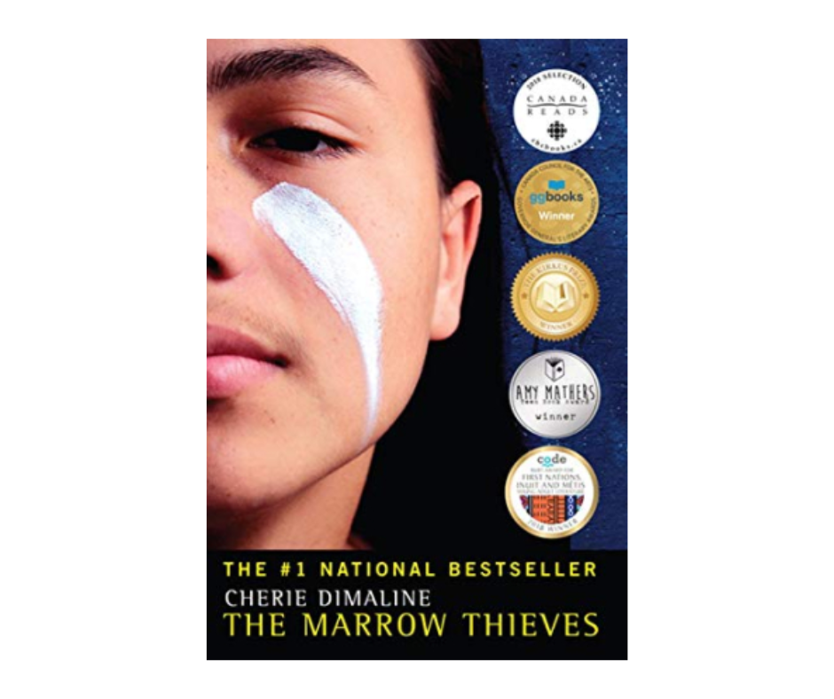 Book cover for The Marrow Thieves by Cherie DiMaline