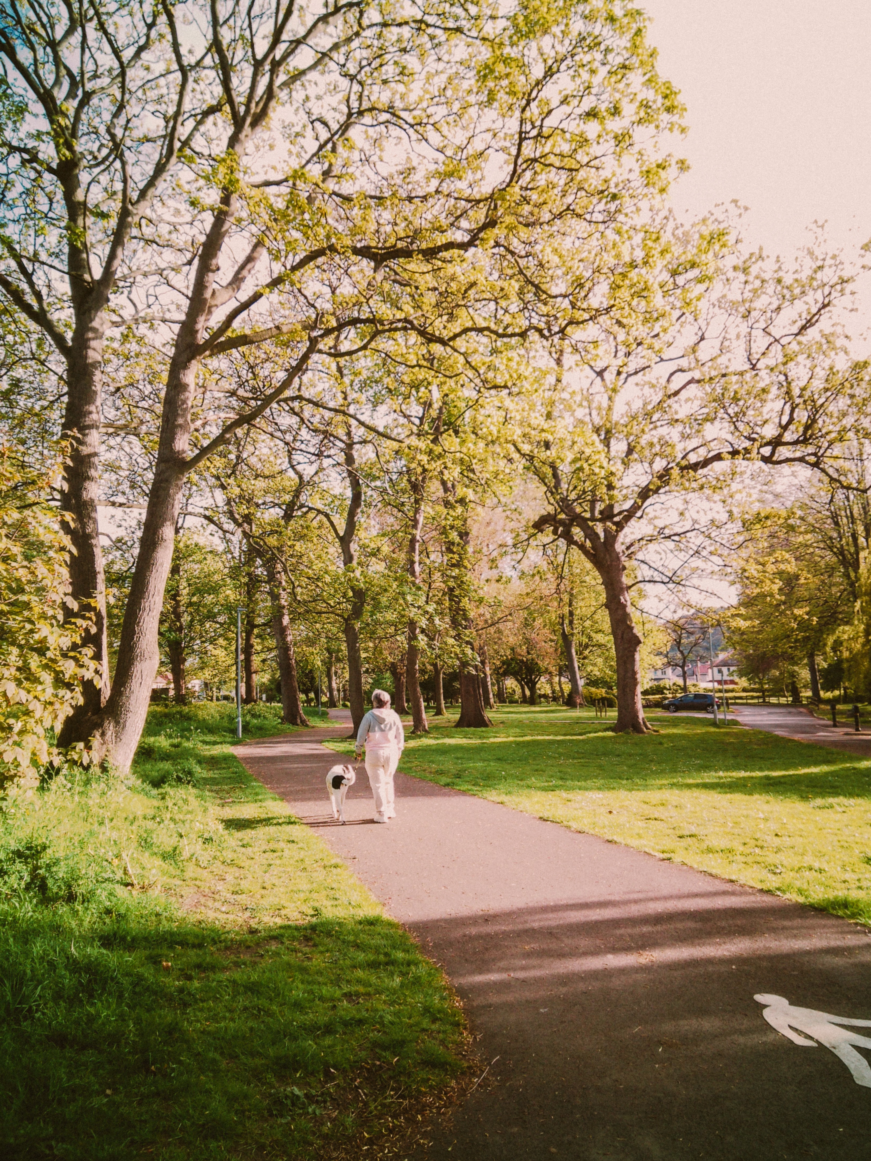 Walking Club