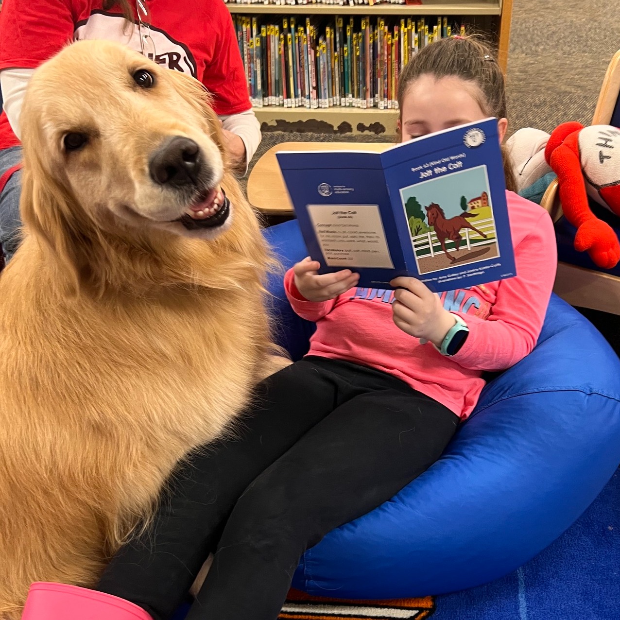 golden retriever "Polar Bear" with library patron reading a book.