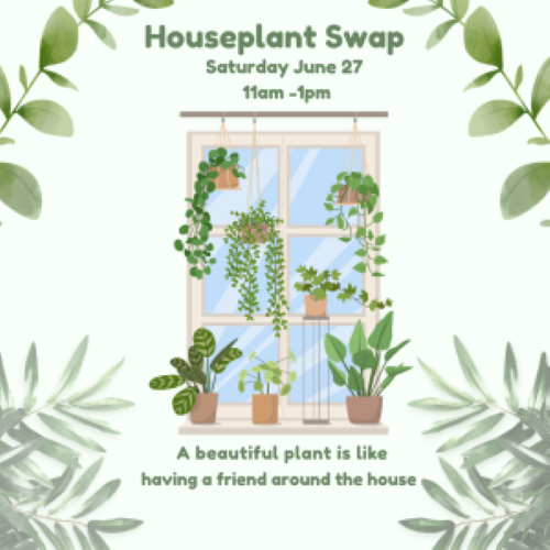 Houseplant Clipart 