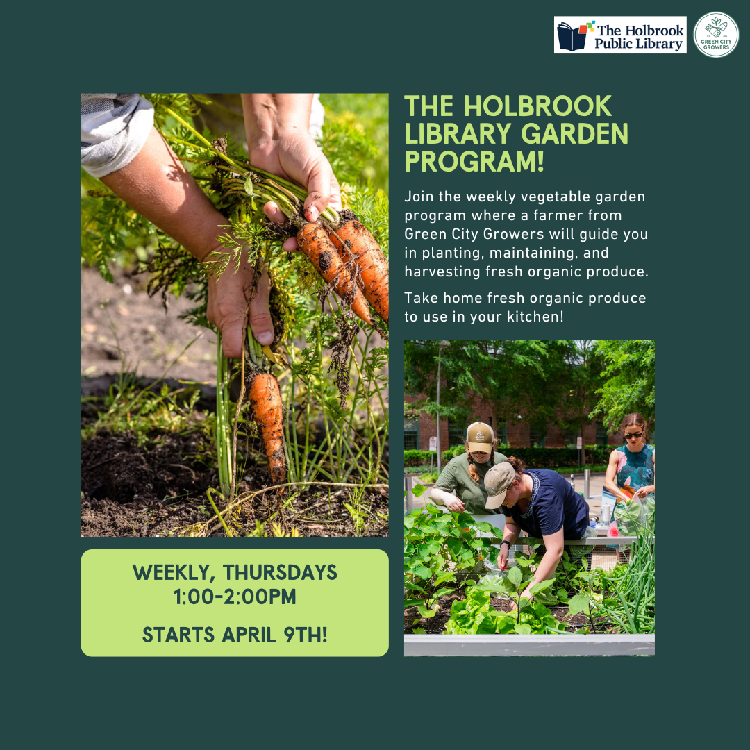 Three gardeners tending to plants in a garden bed.