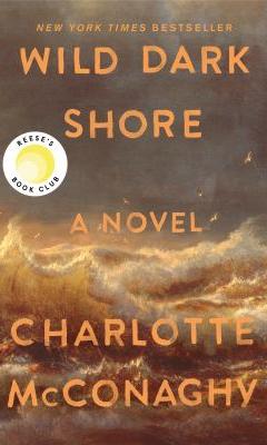 Wild Dark Shore book cover.