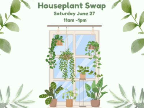 Houseplant Clipart 